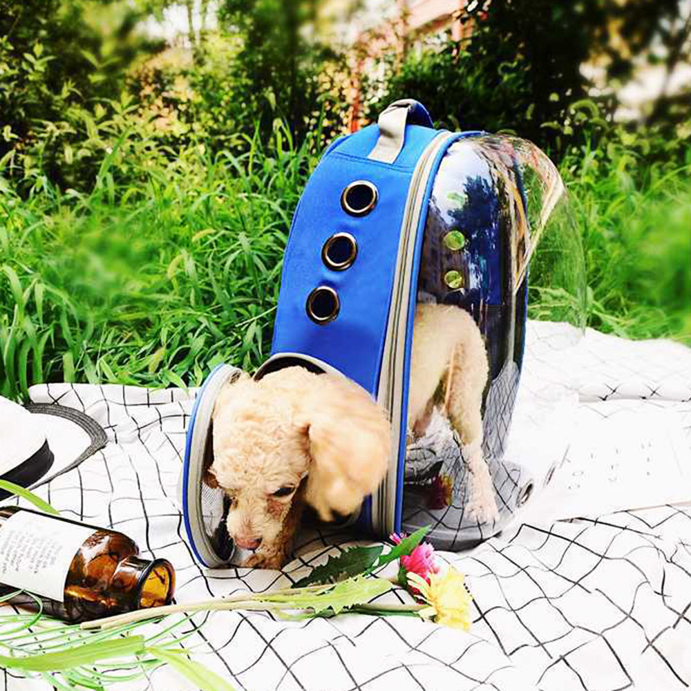 Mochila Transparente para Gatos | Cápsula Espacial Portátil con Diseño Ergonómico