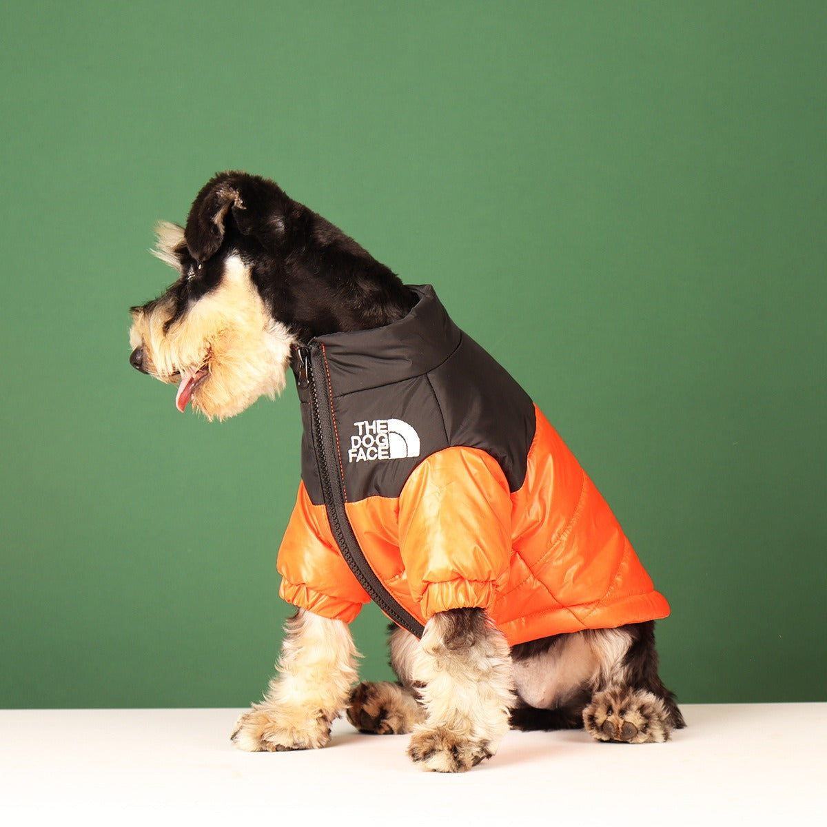 Abrigo bordado para perros y gatos, elegante y cómoda para mascotas