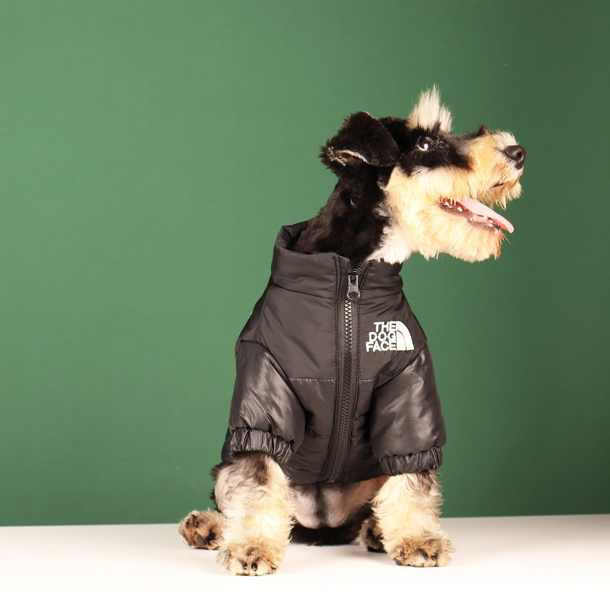 Abrigo bordado para perros y gatos, elegante y cómoda para mascotas