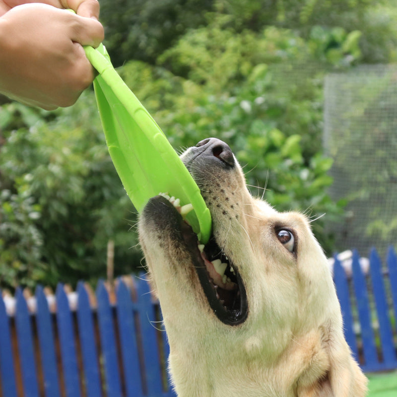 Frisbee juguete diseñado para perros, ideal para juegos de lanzamiento y recuperación.