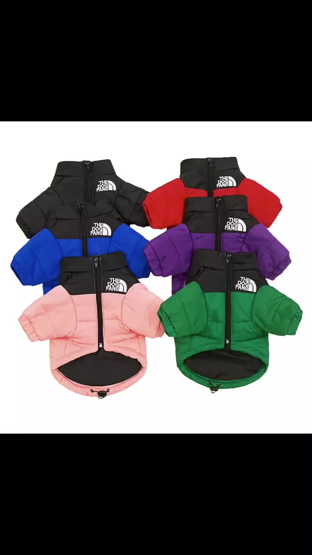Chaqueta elegante de Invierno para Perros | Resistente al Viento y al Frío