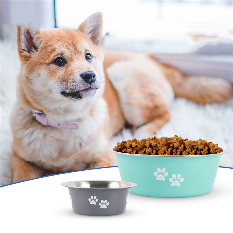 Comederos Antideslizantes de Acero Inoxidable para Perros | Tazones para Alimentación y Agua