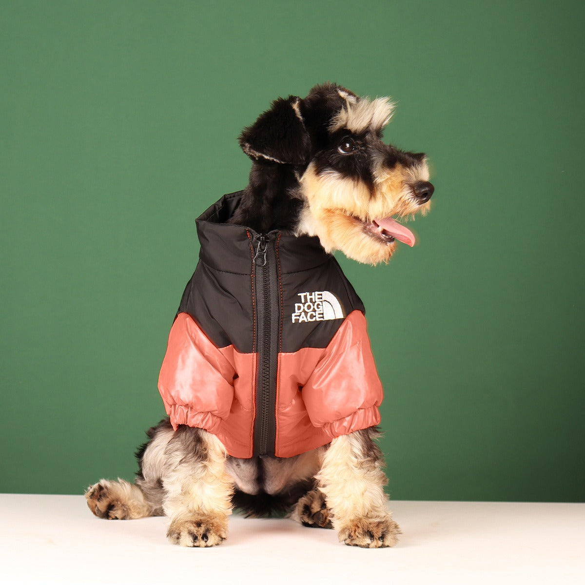 Abrigo bordado para perros y gatos, elegante y cómoda para mascotas