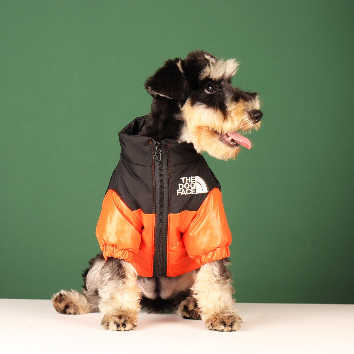 Abrigo bordado para perros y gatos, elegante y cómoda para mascotas