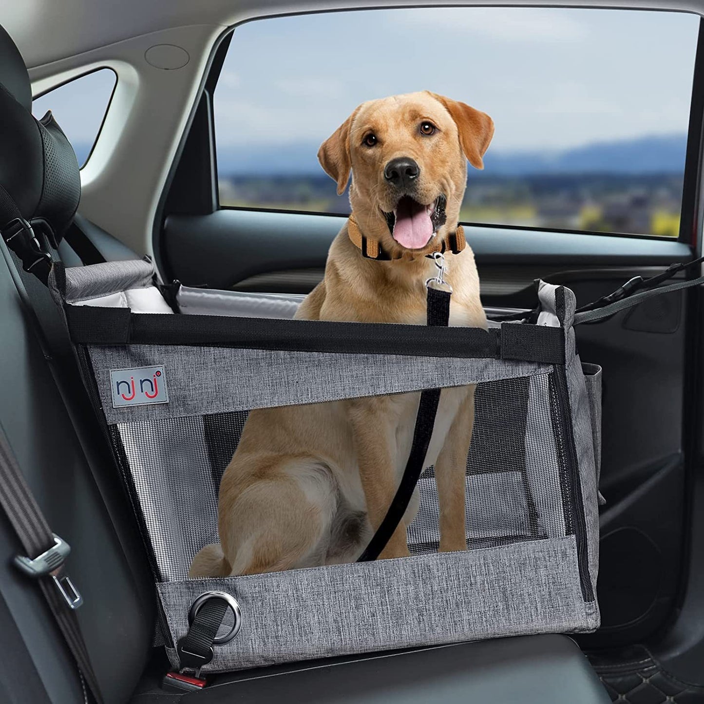 Cesta Trasera para Perros Protección Impermeable. Para tu amigo fiel.