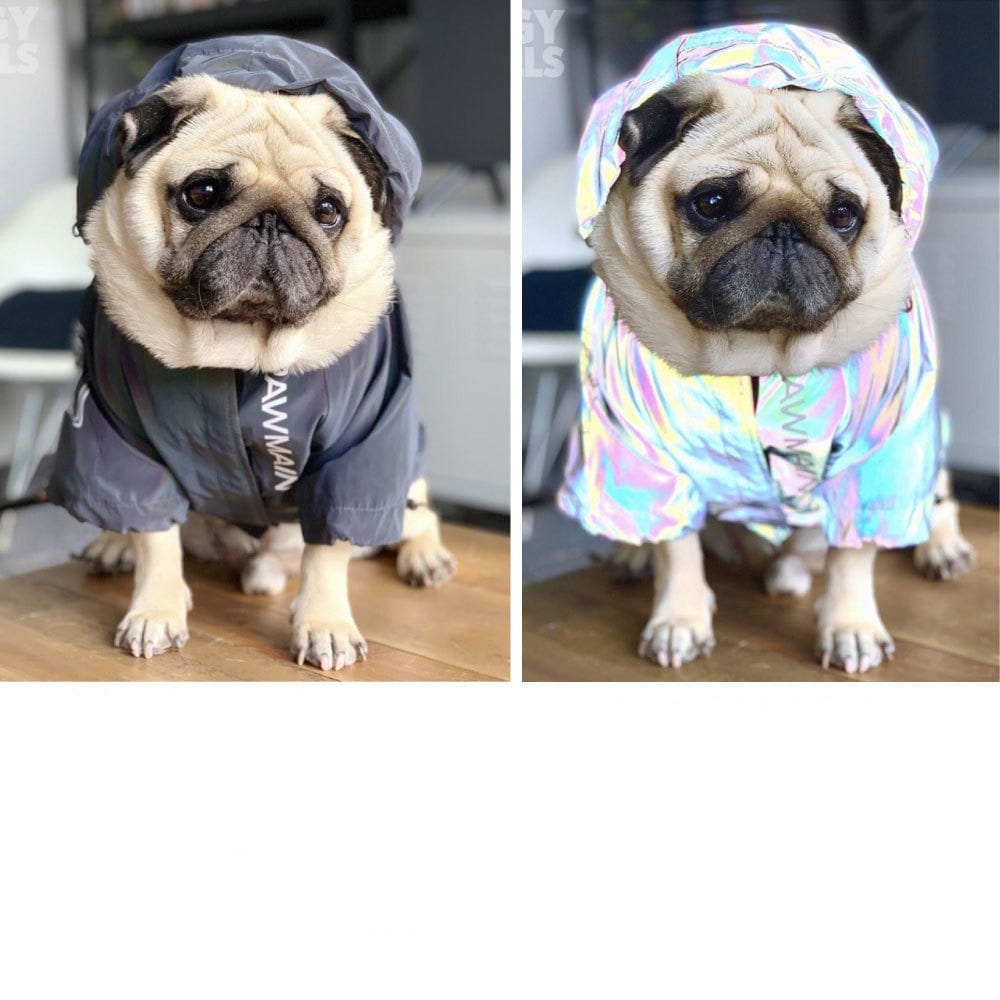 eprolo Impermeable para Perros Grandes - Protección Total Contra Lluvia y Viento 🐶☔ | Noctryx