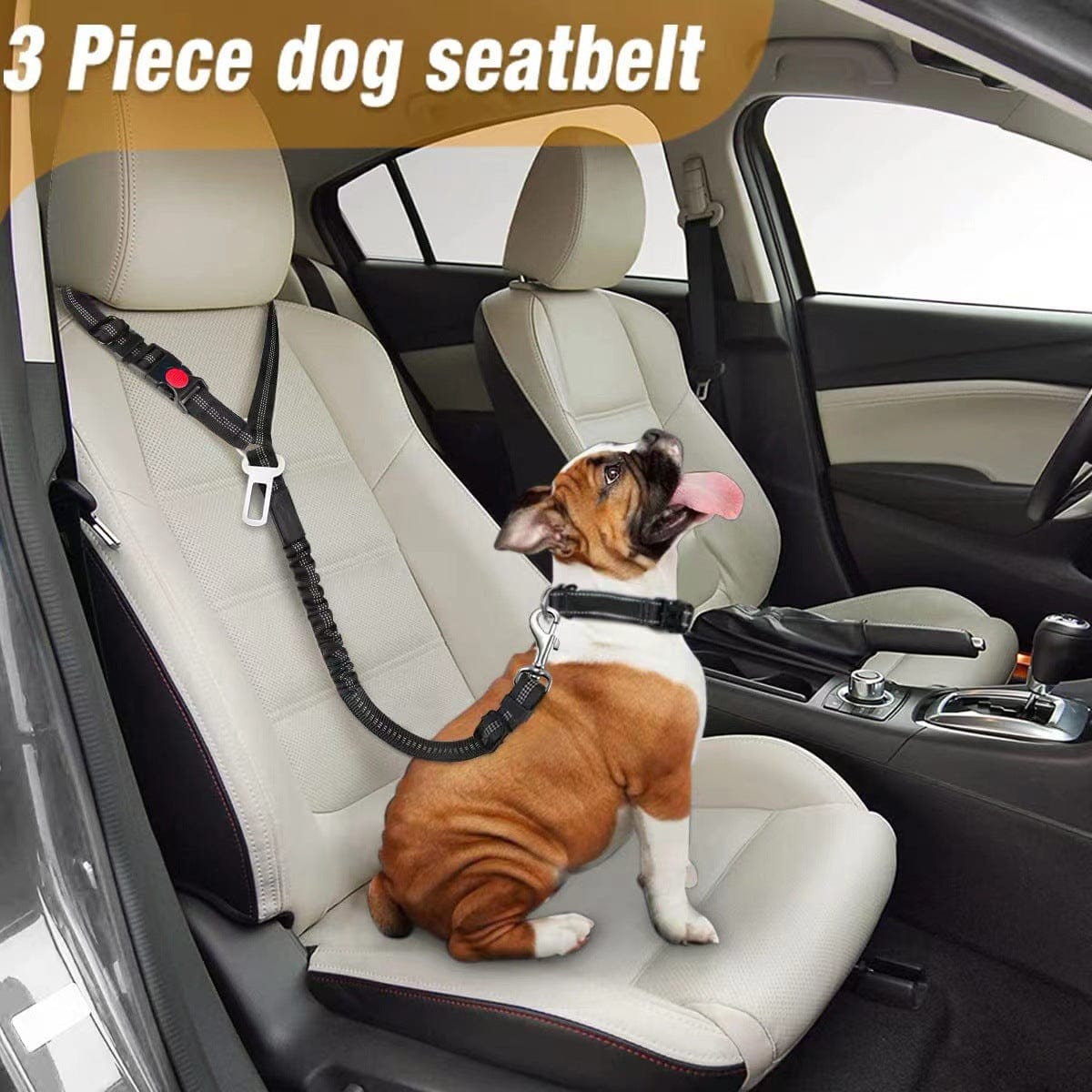 eprolo Tecnología para Mascotas Cinturón de Seguridad para tu mascota, uso en Coche | NOCTRYX