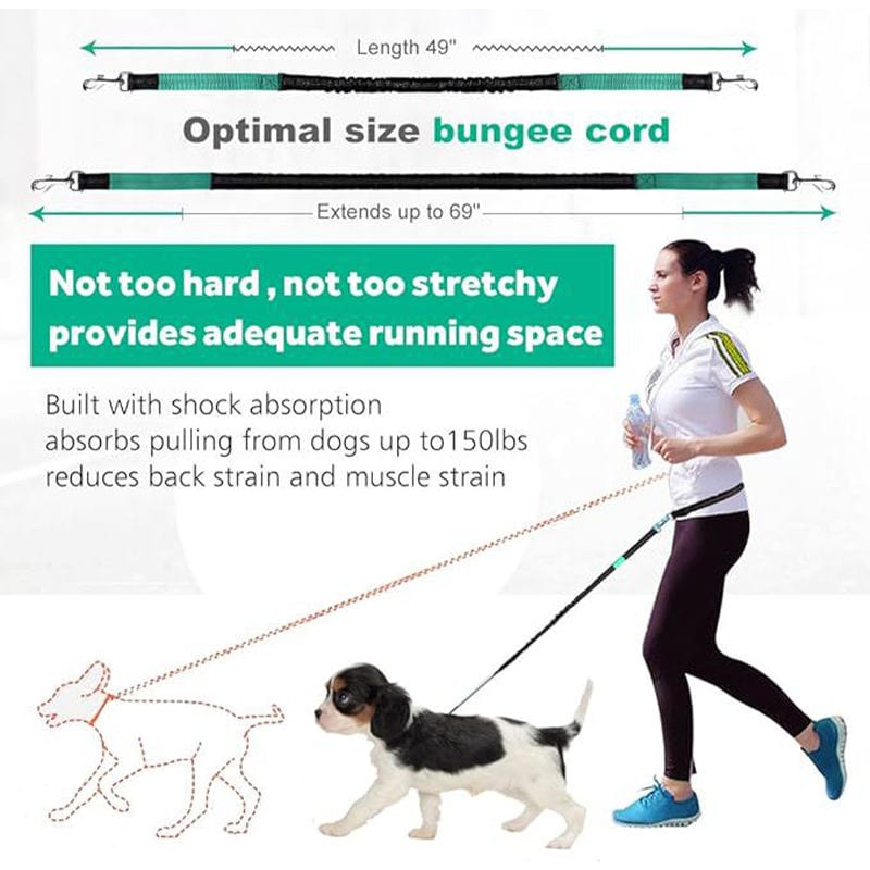 eprolo Tecnología para Mascotas Cinturón Deportivo Reflectante con Correa de Tracción para Mascotas – Ideal para Correr de Noche con tu Perro | NOCTRYX