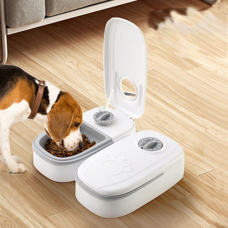 eprolo Tecnología para Mascotas Comedero para Gatos , Alimentación Programada y Cuantificada 🐱⏰| Noctryx