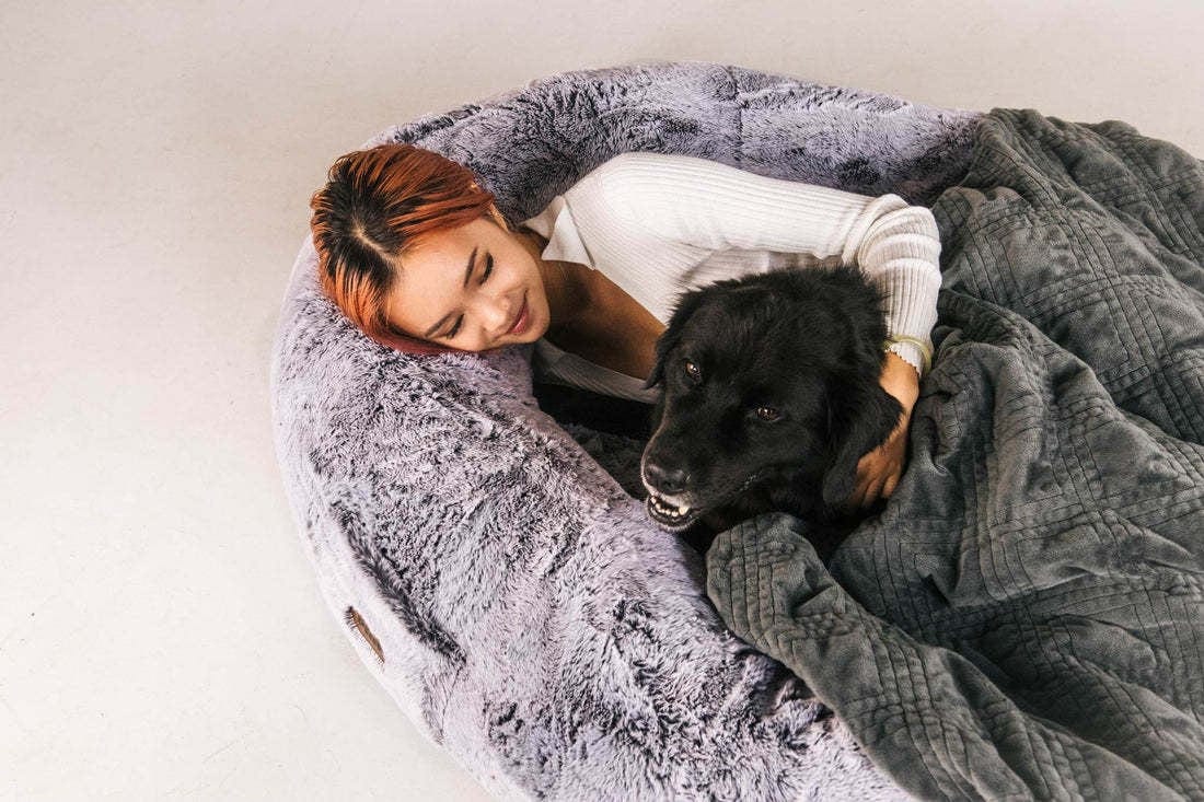 eprolo Tecnología para Mascotas grey / 100*70*20 Cama Máximo Confort para compartir con tu Mascota | Noctryx