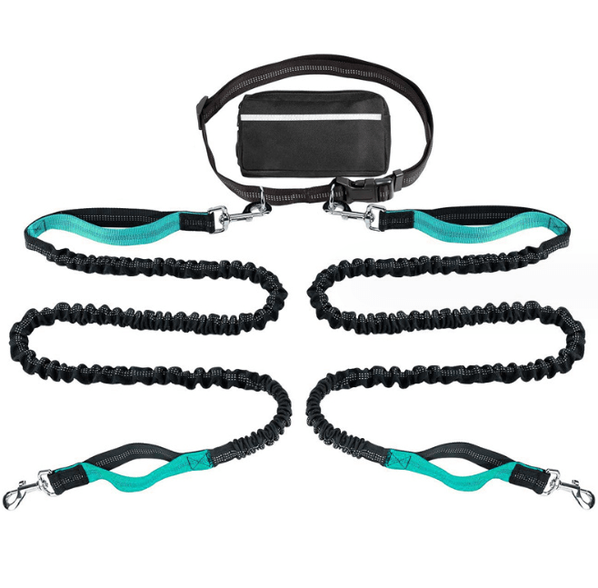 eprolo Tecnología para Mascotas Lake blue (normal handle set) / Belt size 80-120cm, traction rope 130cm Cinturón Deportivo Reflectante con Correa de Tracción para Mascotas – Ideal para Correr de Noche con tu Perro | NOCTRYX