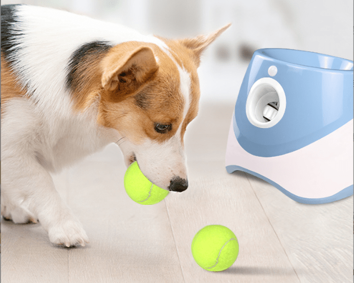 eprolo Tecnología para Mascotas Lanzador Automático de Pelotas para Perros | NOCTRYX
