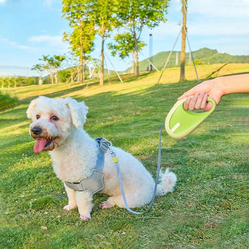 eprolo Tecnología para Mascotas light green Correa Retráctil Automática Resistente, Ideal para Paseos y Viajes al Aire Libre | NOCTRYX
