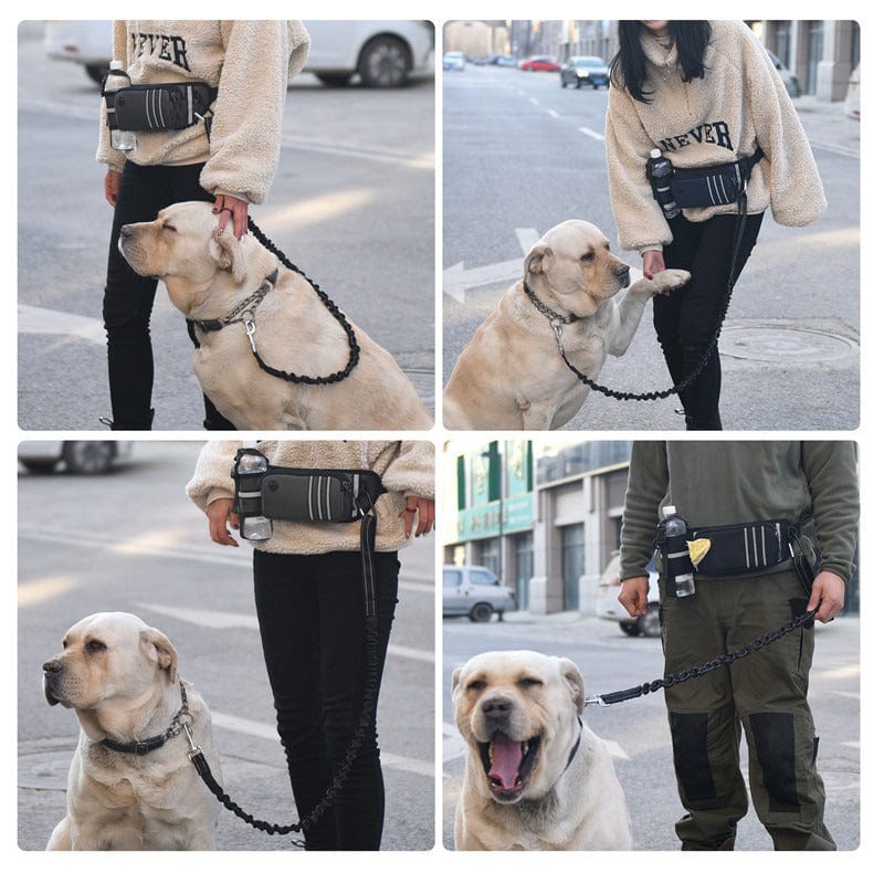 eprolo Tecnología para Mascotas Riñonera Deportiva Multifuncional para Mascotas, Impermeable, Elástica y Antigolpes | Noctryx