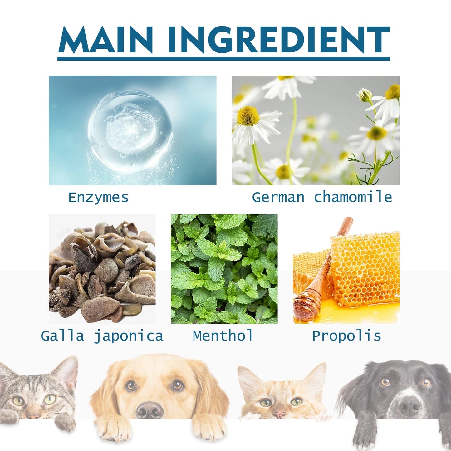 eprolo Tecnología para Mascotas Spray Bucal para Refrescar los Dientes de tu Mascota | NOCTRYX