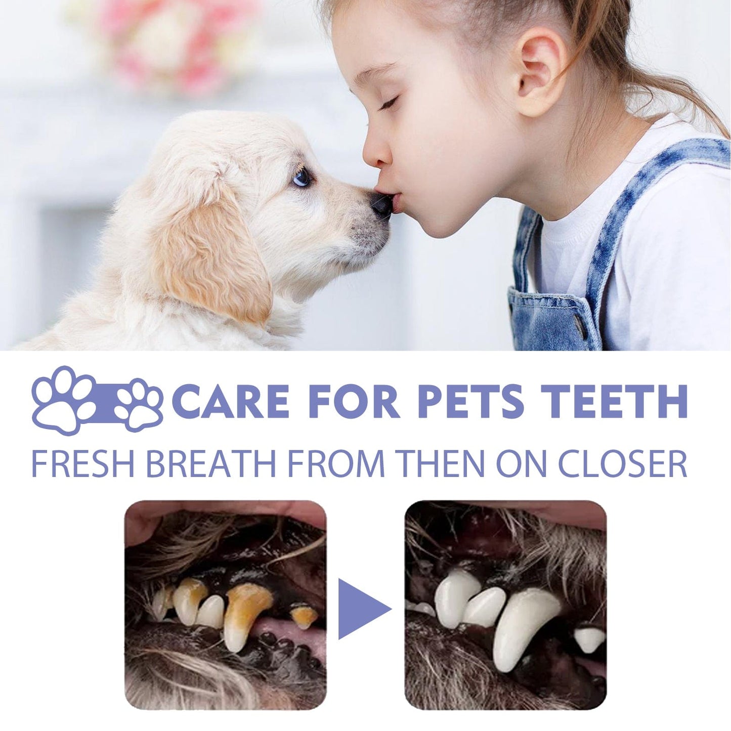 eprolo Tecnología para Mascotas Spray Limpiador Dental para Perros y Gatos | Elimina el Mal Aliento y el Sarro en Segundos | NOCTRYX