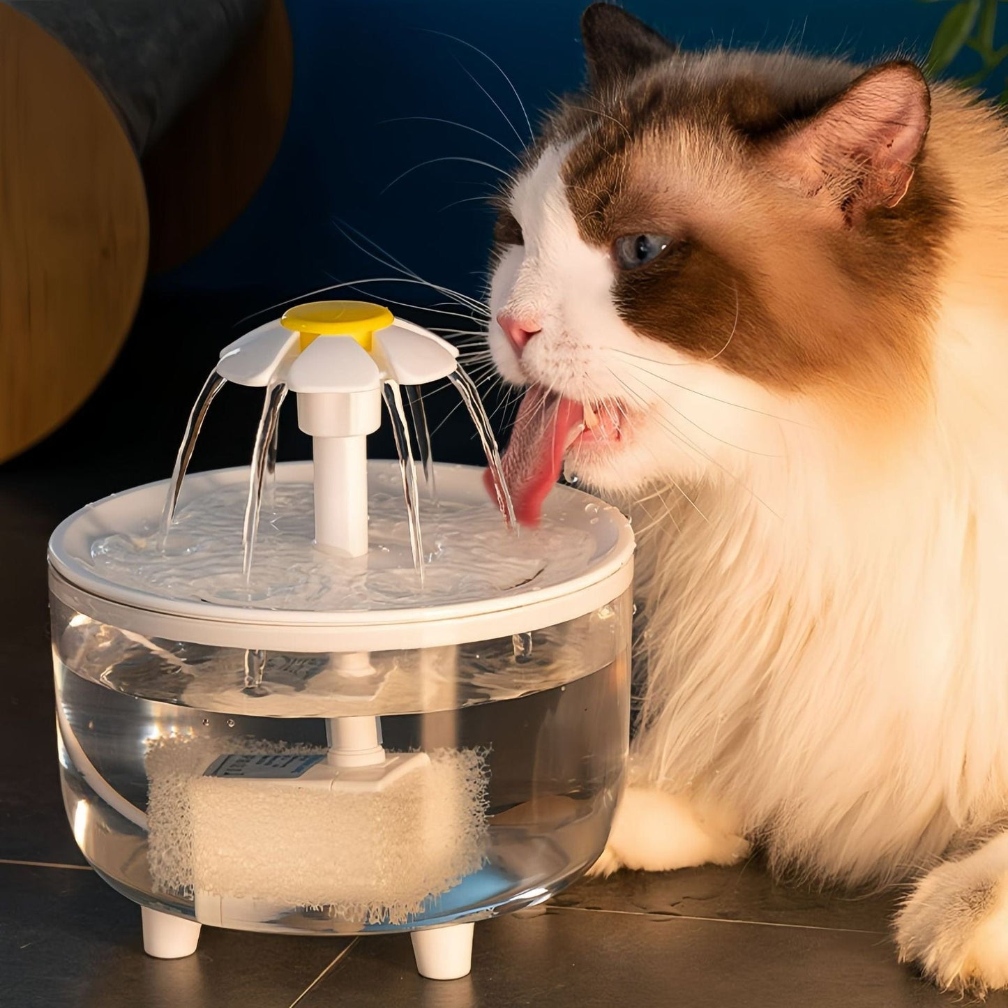 eprolo Tecnología para Mascotas Transparent Fuente de Agua para Mascotas con Filtro Automático USB | NOCTRYX