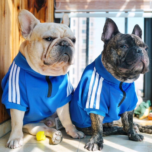Suéter para Perros  Diseño de Tres Barras, Cálido y Cómodo