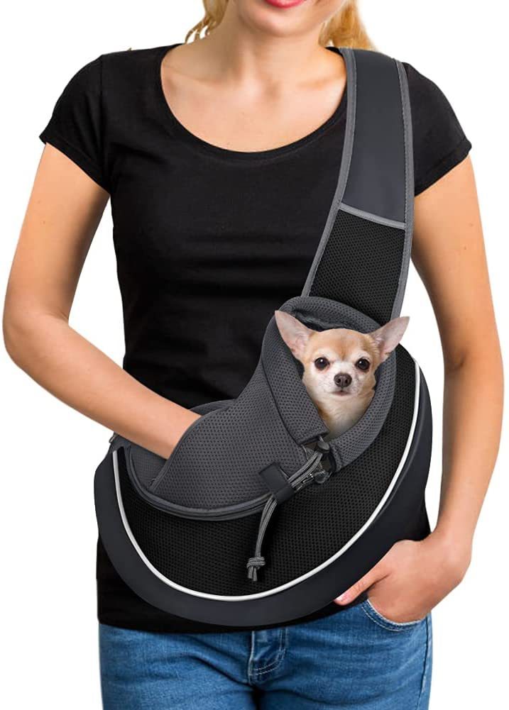 Lleva a tu Mascota Cómoda y tranquila. No la Dejes en Casa.
