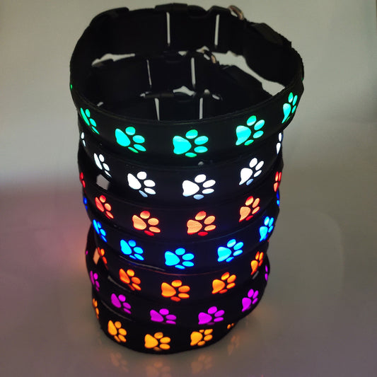 Collar Luminoso Recargable para Perros | Luz LED de Seguridad Antipérdida y Antiatropello