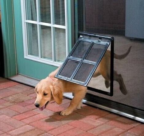 Puerta para Mascotas con Acceso Libre | Diseño de Pantalla Antimosquitos para Gatos y Perros