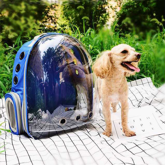 Mochila Transparente para Gatos | Cápsula Espacial Portátil con Diseño Ergonómico