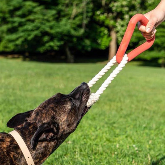 Juguete Interactivo para Perros | Mordedor para Entrenamiento y Diversión