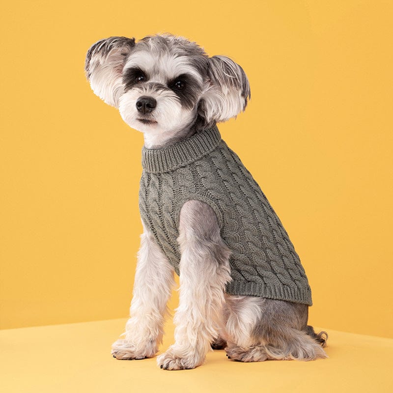 eprolo gray / XS Suéter Clásico de Color Sólido para Perro y Gato 🐾 | NOCTRYX