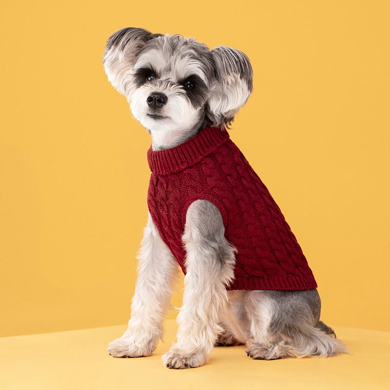eprolo oxblood red / XS Suéter Clásico de Color Sólido para Perro y Gato 🐾 | NOCTRYX