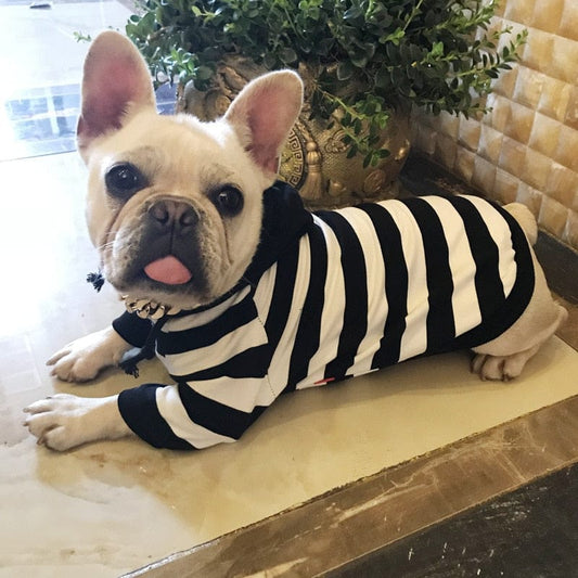eprolo Tecnología para Mascotas Abrigo Cómodo de Mascotas cómodo, abrigado. (Tallas S a 4XL) | NOCTRYX