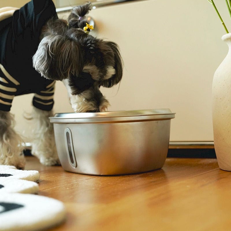 eprolo Tecnología para Mascotas Basic payment Dispensador Automático de Agua 3L en Acero Inoxidable | Circulación y Filtrado Inteligente para Gatos y Perros | Noctryx