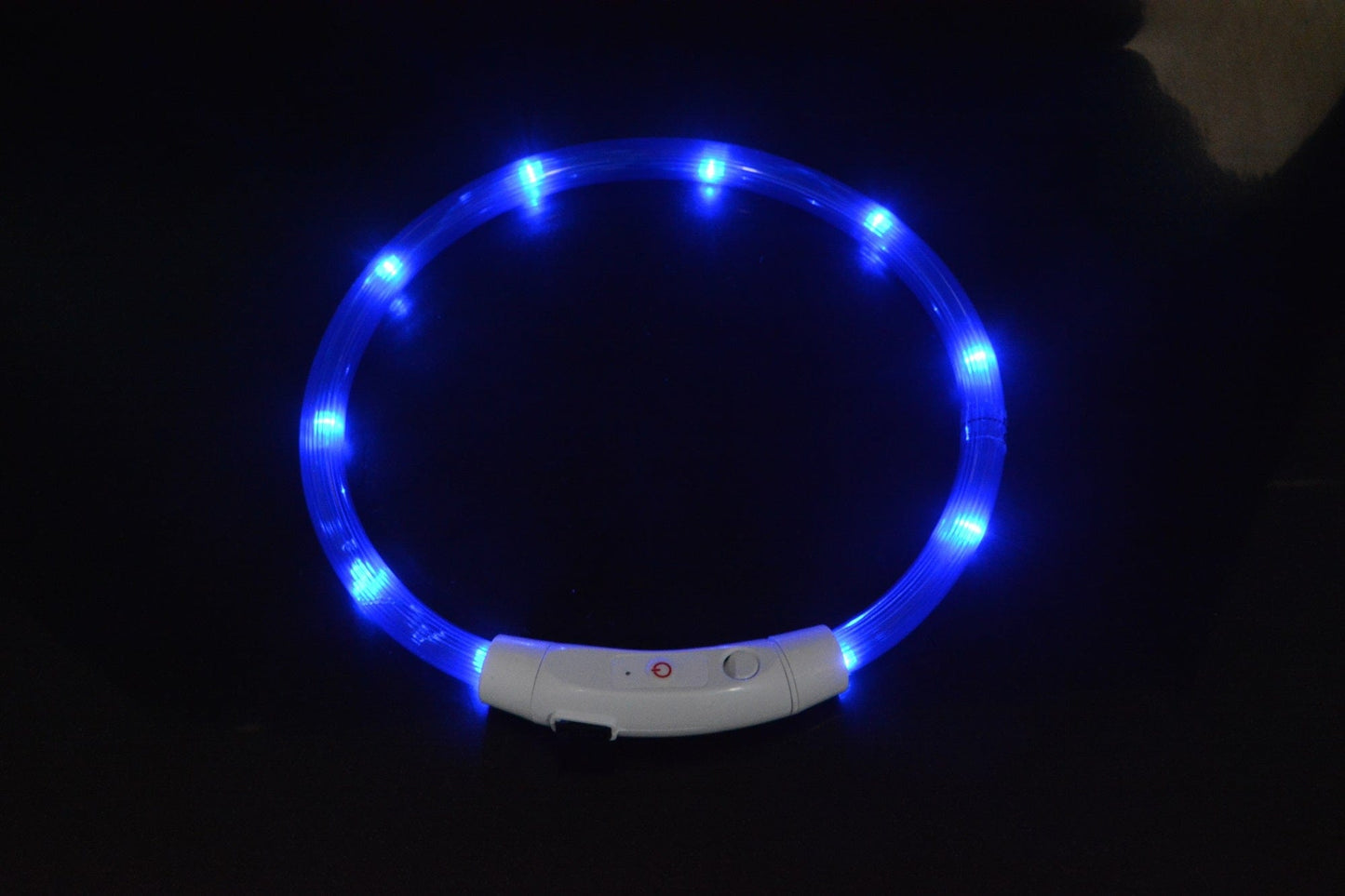 eprolo Tecnología para Mascotas Blue - LED Beads / S Collar Led Luminoso para Mascotas, Recargable por USB | NOCTRYX