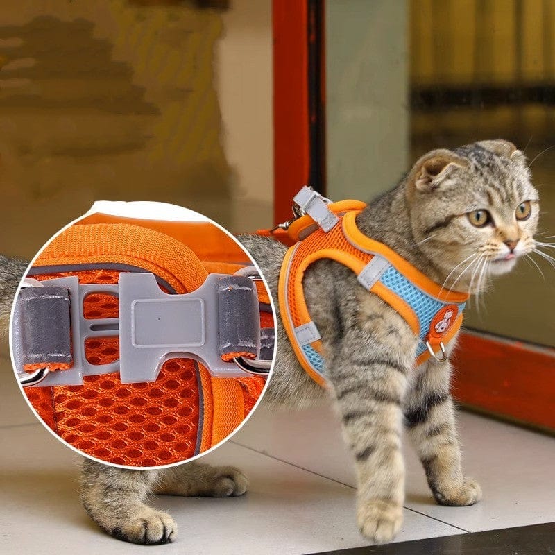 eprolo Tecnología para Mascotas Correa Reflectante para Perros y Gatos – Arnés de Pecho Antitirones 🐶🐱| Noctryx