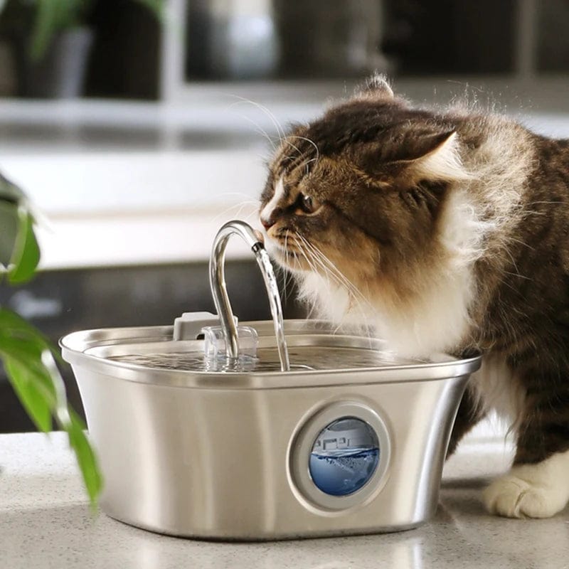 eprolo Tecnología para Mascotas Dispensador Automático de Agua para Mascotas en Acero Inoxidable, USB Duradero | NOCTRYX