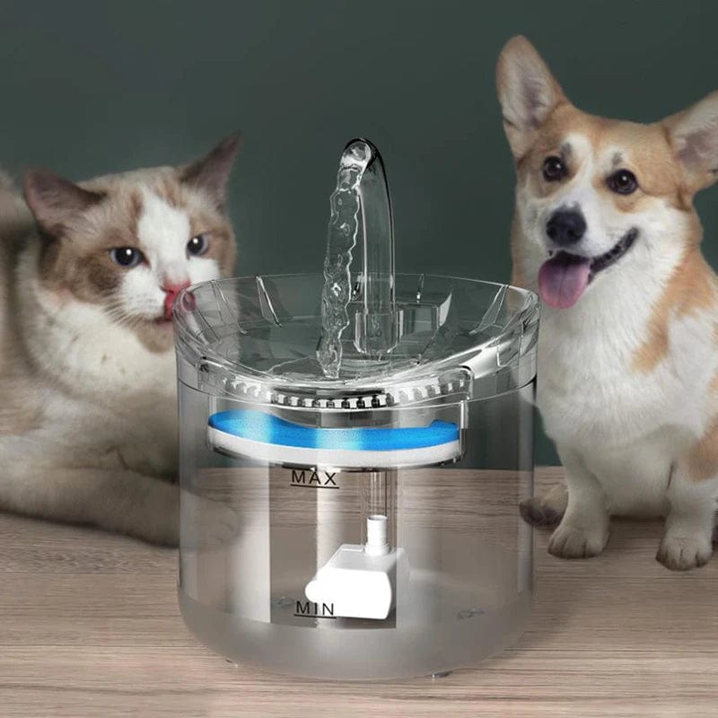 eprolo Tecnología para Mascotas Dispensador Automático de Agua para Mascotas siempre hidratada con agua fresca   | NOCTRYX