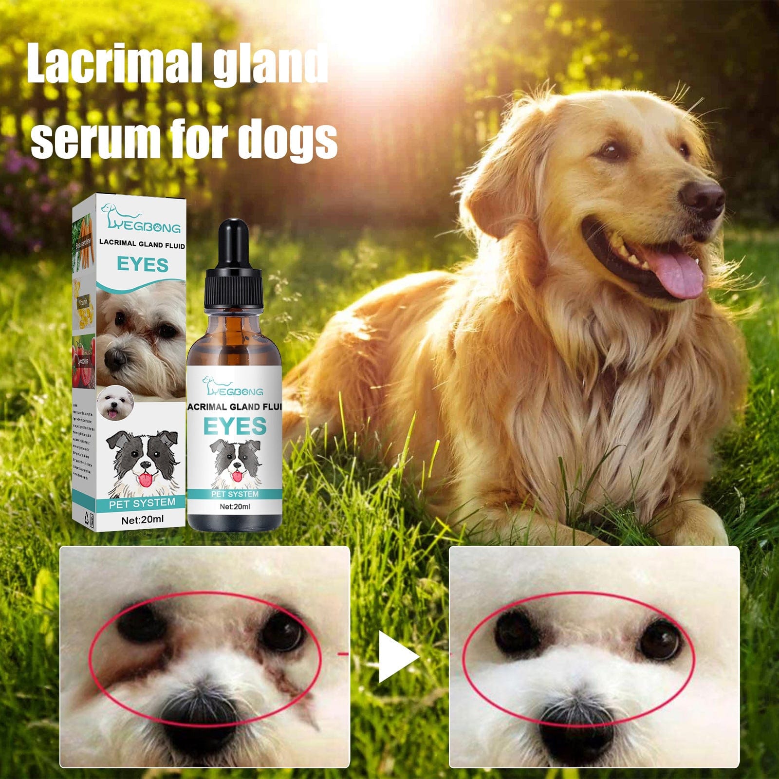 eprolo Tecnología para Mascotas Eliminador de Manchas de Lagrimeo para tu Mascota | NOCTRYX