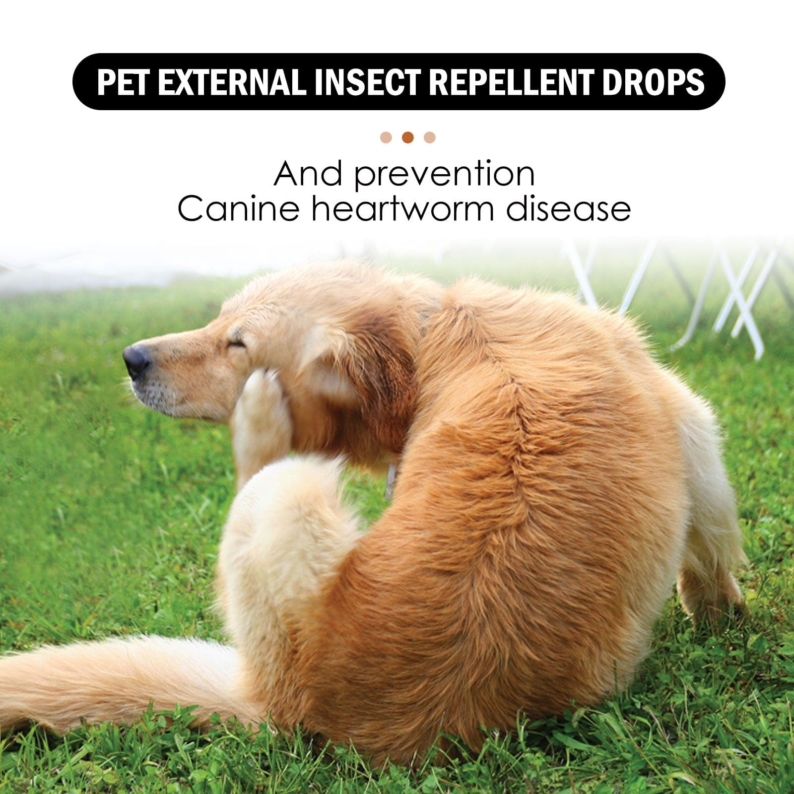 eprolo Tecnología para Mascotas Gotas Antiparasitarias para Mascotas | NOCTRYX