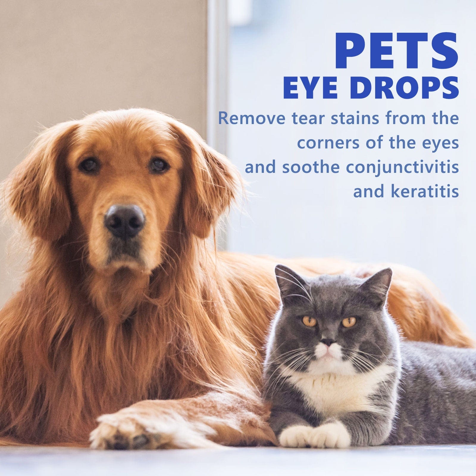 eprolo Tecnología para Mascotas Gotas Oftálmicas para Mascotas. Cuidado para tu Mascota | NOCTRYX
