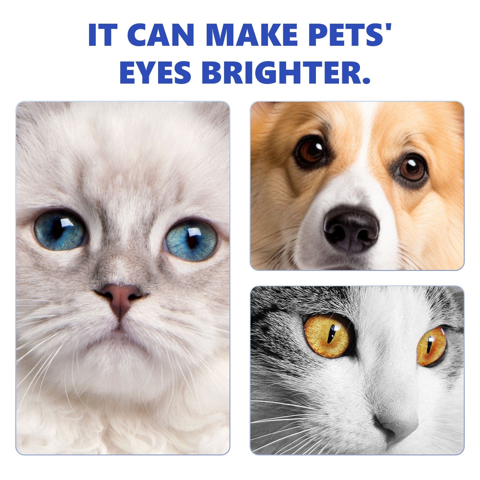 eprolo Tecnología para Mascotas Gotas Oftálmicas para Mascotas. Cuidado para tu Mascota | NOCTRYX