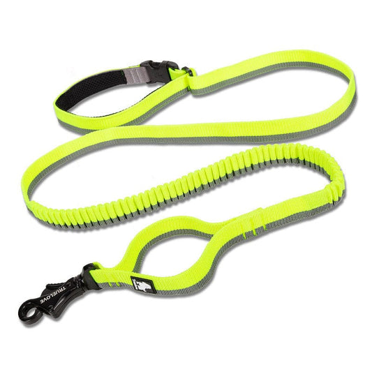 eprolo Tecnología para Mascotas green / M Correa para Perro con Amortiguación Elástica – Ideal para Correr y Actividades al Aire Libre | NOCTRYX