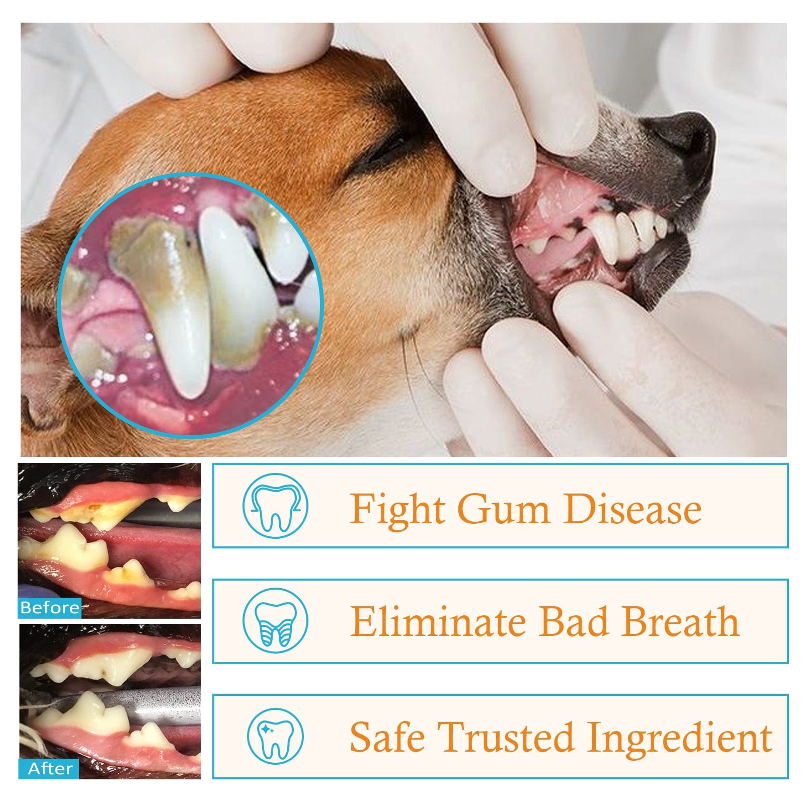 eprolo Tecnología para Mascotas Guantes Dentales para Perros y Gatos. Tu mascota te lo Agradecerá | NOCTRYX