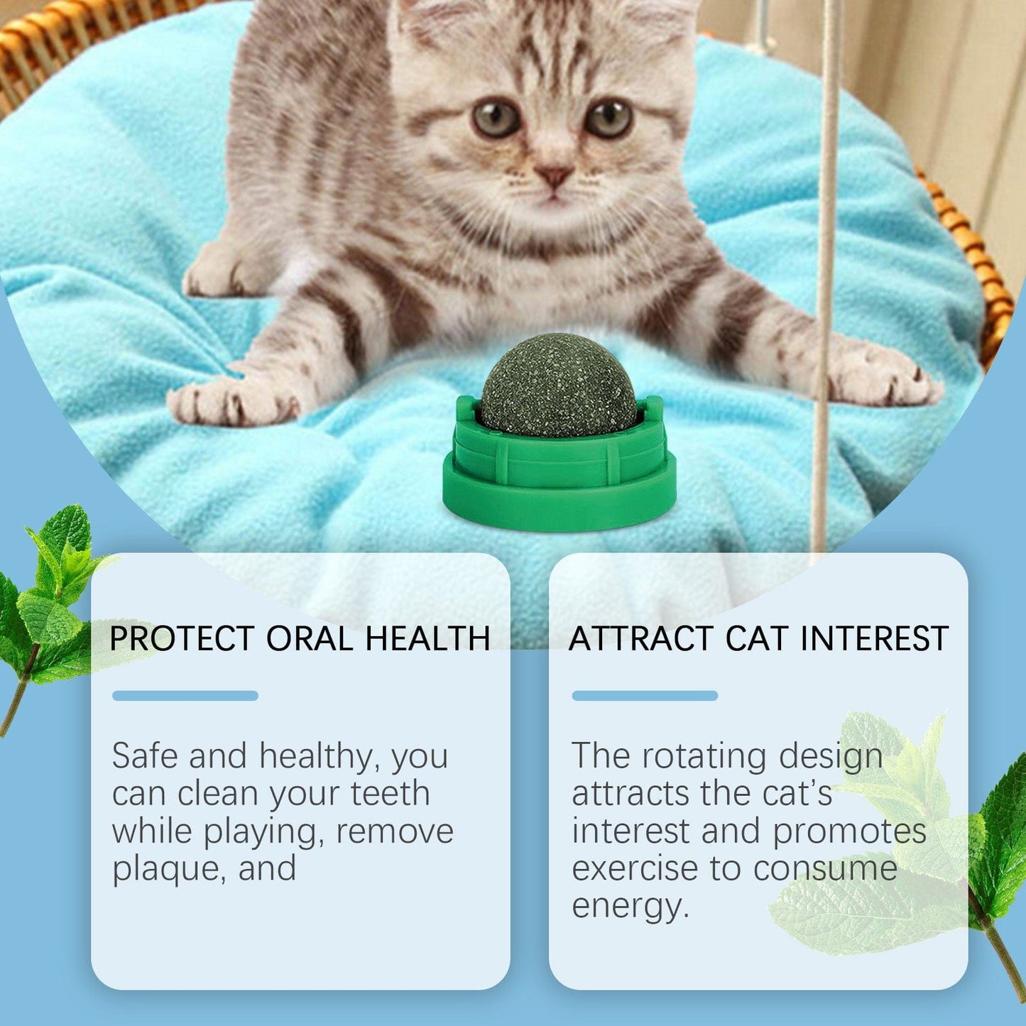 eprolo Tecnología para Mascotas Juguete Masticable para Gatos con Menta | NOCTRYX