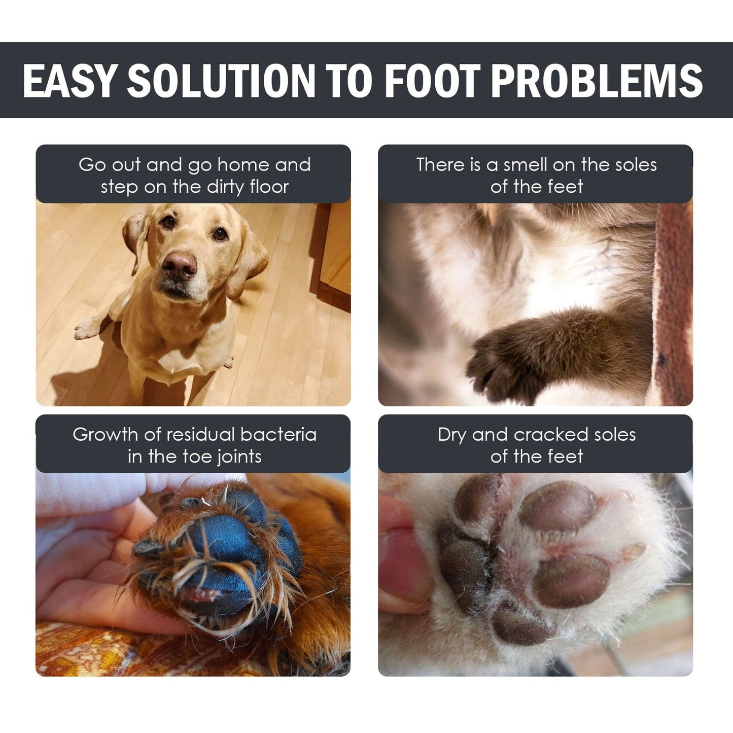 eprolo Tecnología para Mascotas Limpiador de Patas para Perros y Gatos – Higiene Rápida y Eficiente | NOCTRYX