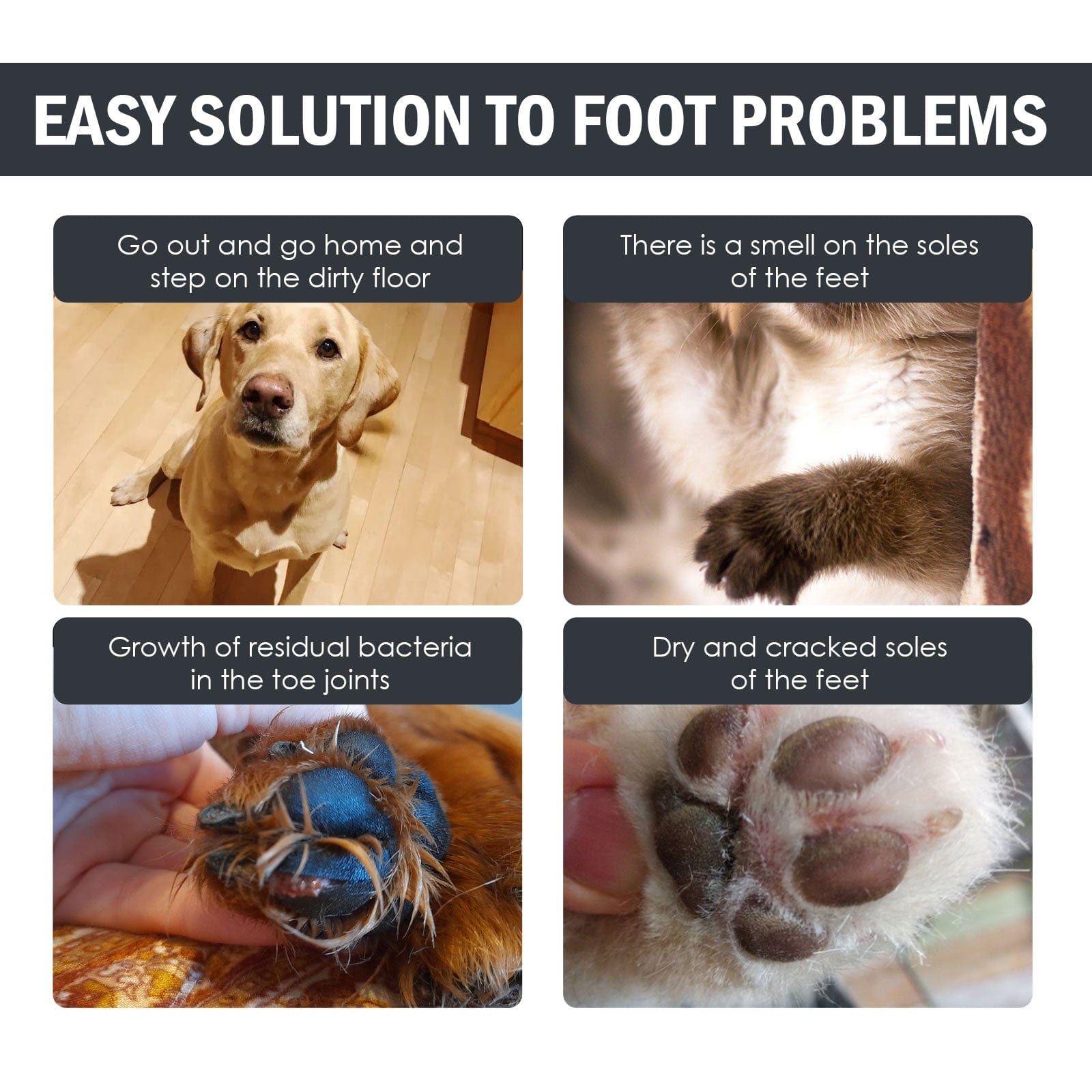 eprolo Tecnología para Mascotas Limpiador de Patas para Perros y Gatos – Higiene Rápida y Eficiente | NOCTRYX