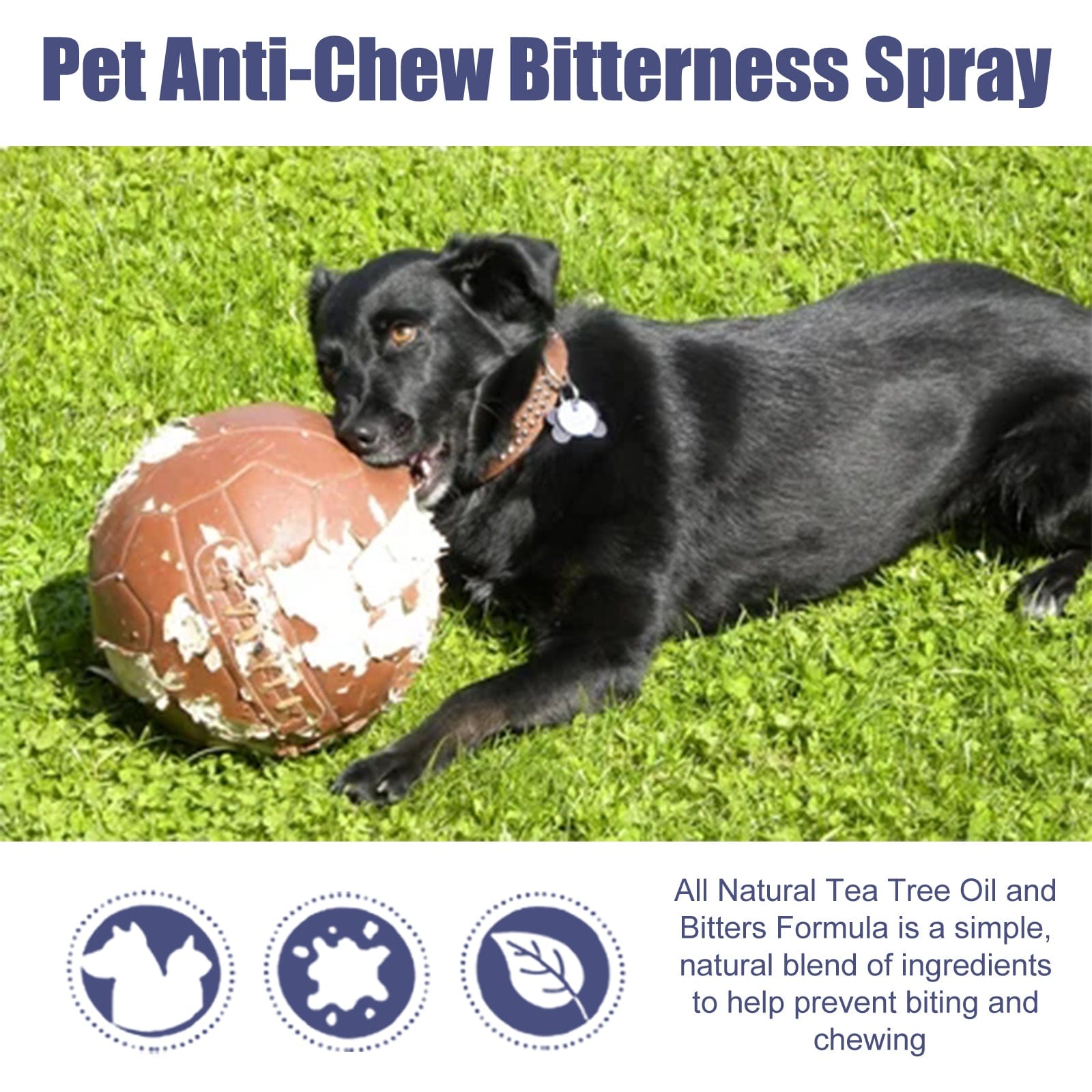eprolo Tecnología para Mascotas Mantén tus pertenencias a salvo del masticado de tu mascota | NOCTRYX