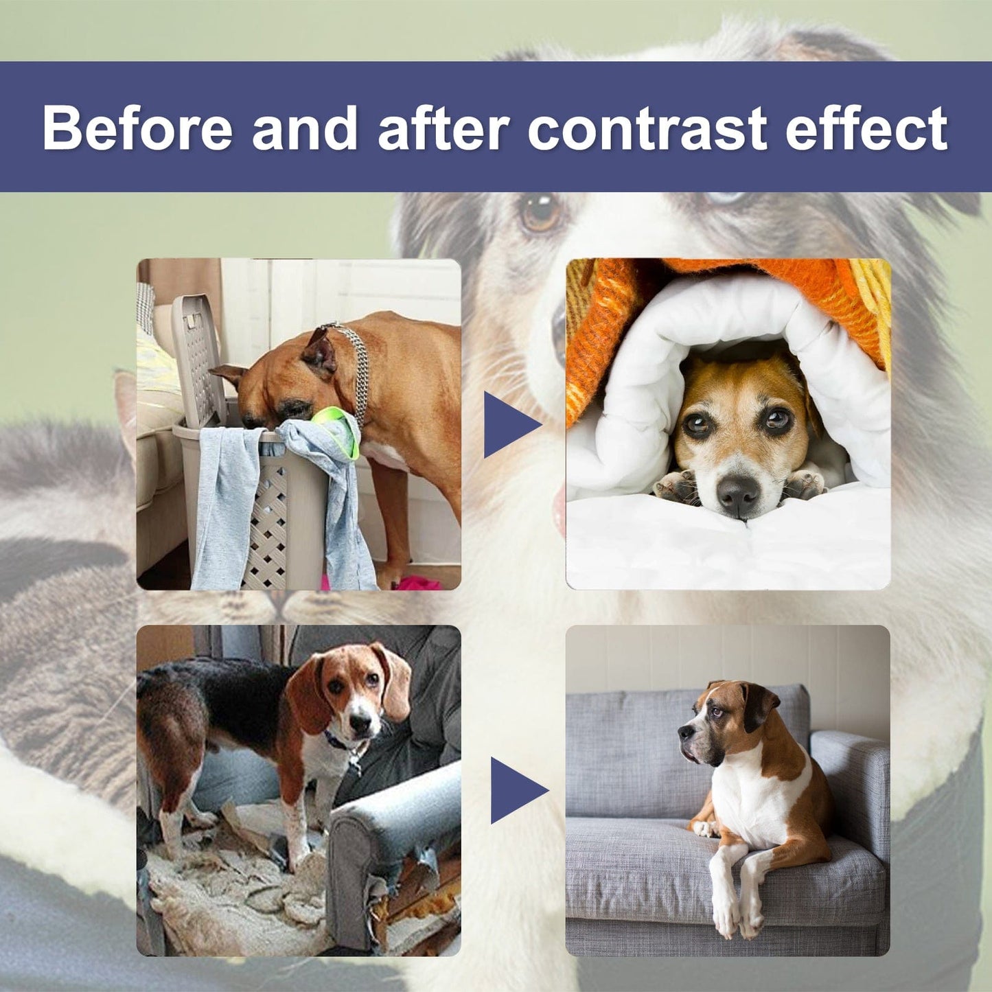 eprolo Tecnología para Mascotas Mantén tus pertenencias a salvo del masticado de tu mascota | NOCTRYX