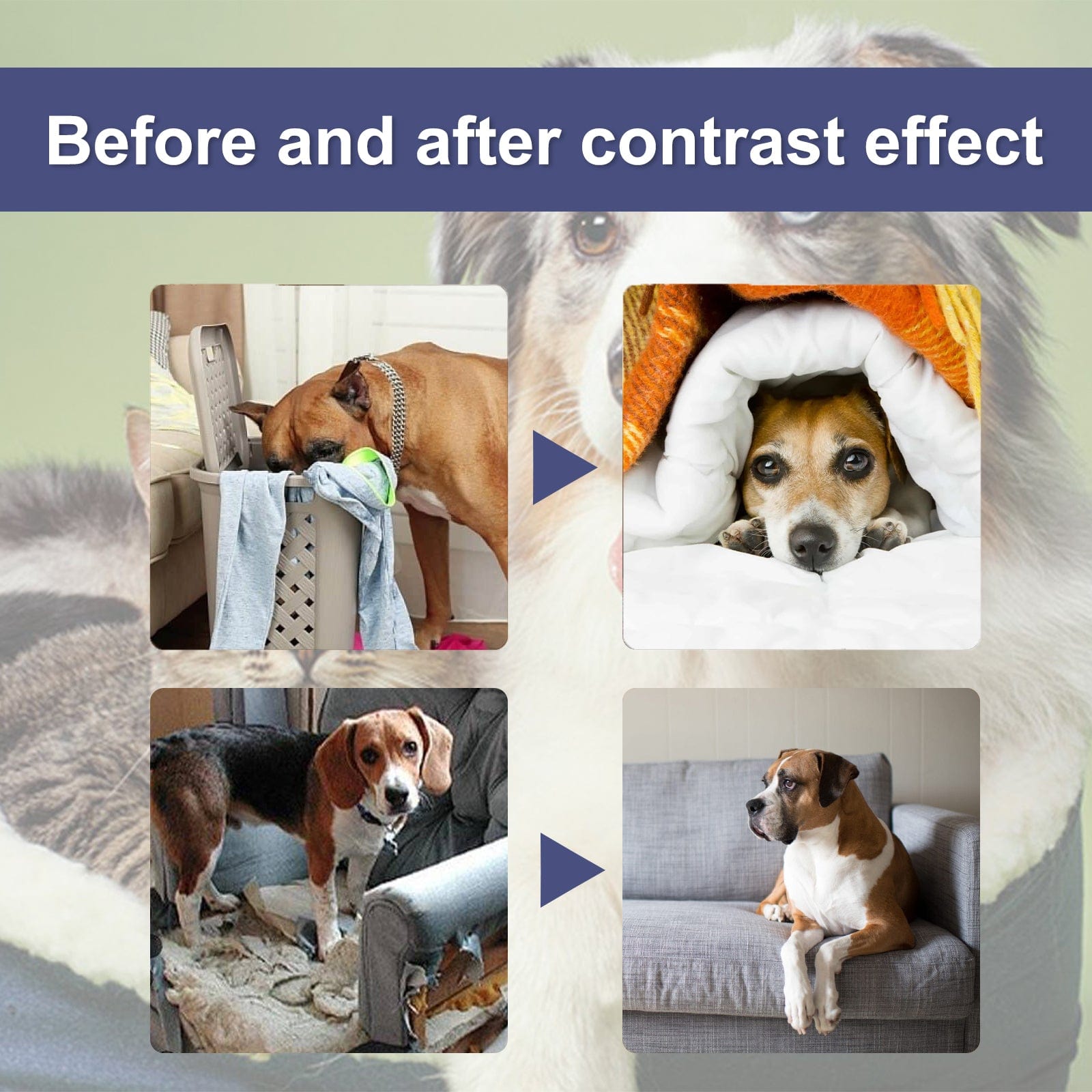 eprolo Tecnología para Mascotas Mantén tus pertenencias a salvo del masticado de tu mascota | NOCTRYX