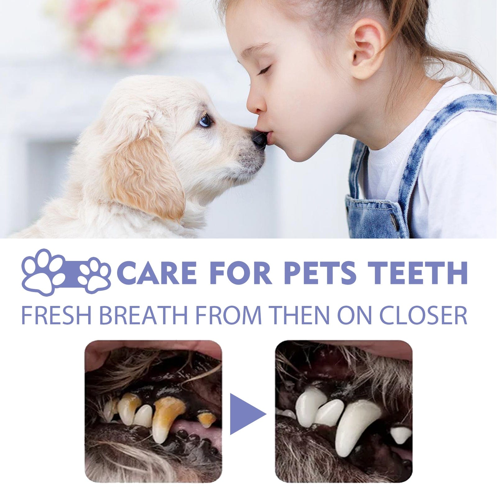 eprolo Tecnología para Mascotas Spray Limpiador Dental para Perros y Gatos | Elimina el Mal Aliento y el Sarro en Segundos | NOCTRYX